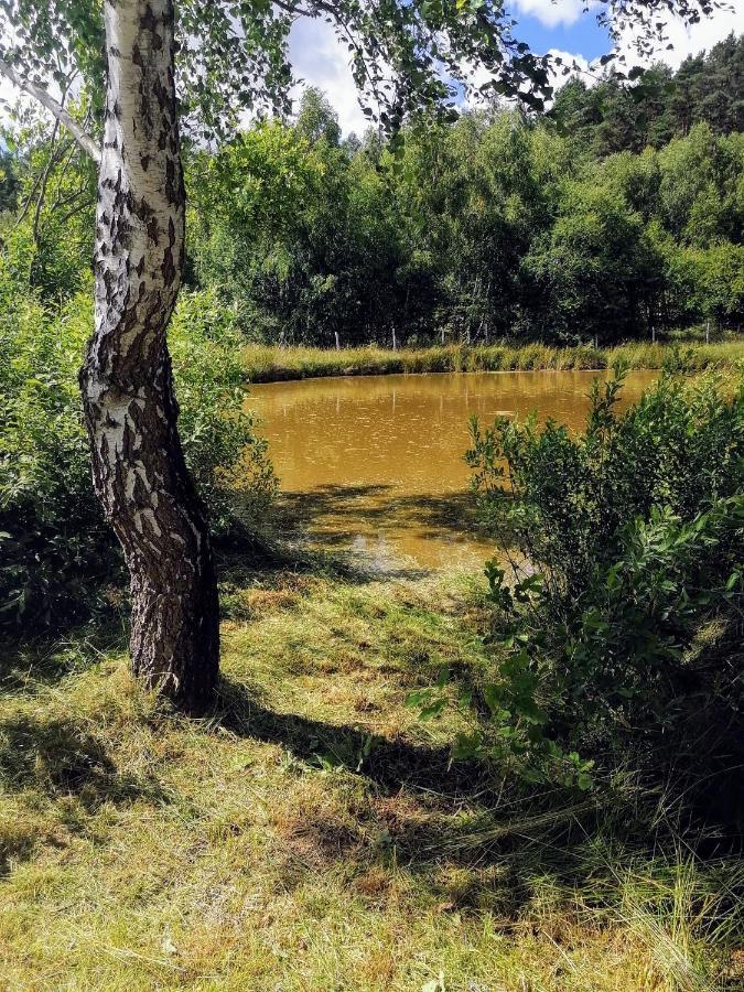 Brzozowa Polana Villa Perlino Dış mekan fotoğraf