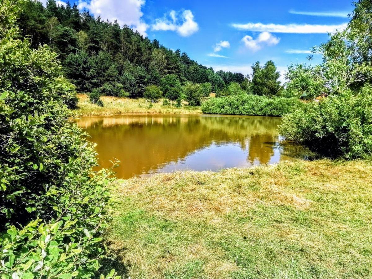Brzozowa Polana Villa Perlino Dış mekan fotoğraf